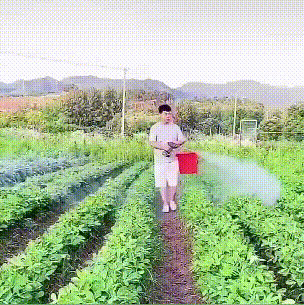 DM_20230228115536_022.gif
