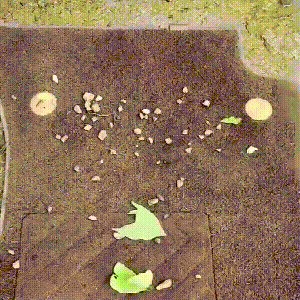 DM_20230228115536_008.gif