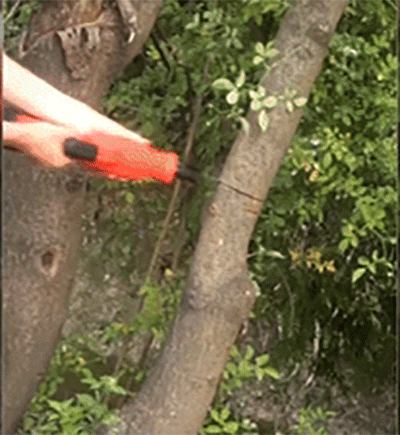 10.gif