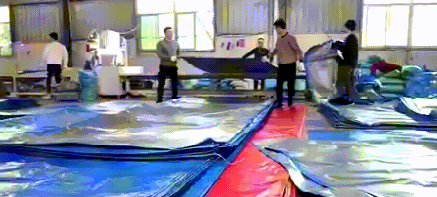 10007.gif